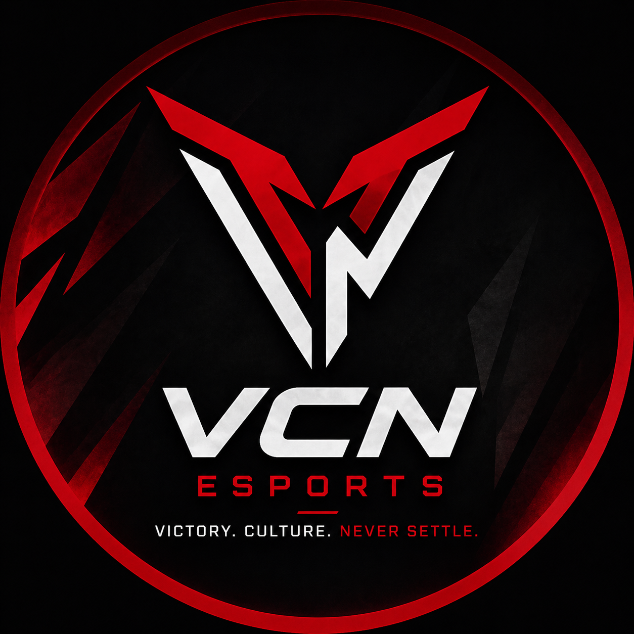 Vcn Meta VCN Esports